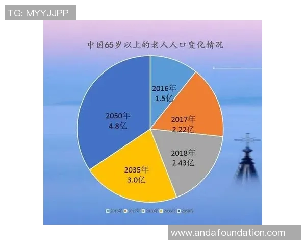 数据分析：武汉排球队的速度表现